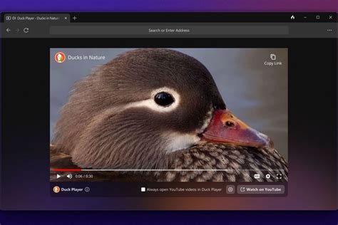 ducktogo|DuckDuckGo Private Browser – Apps on Google Play